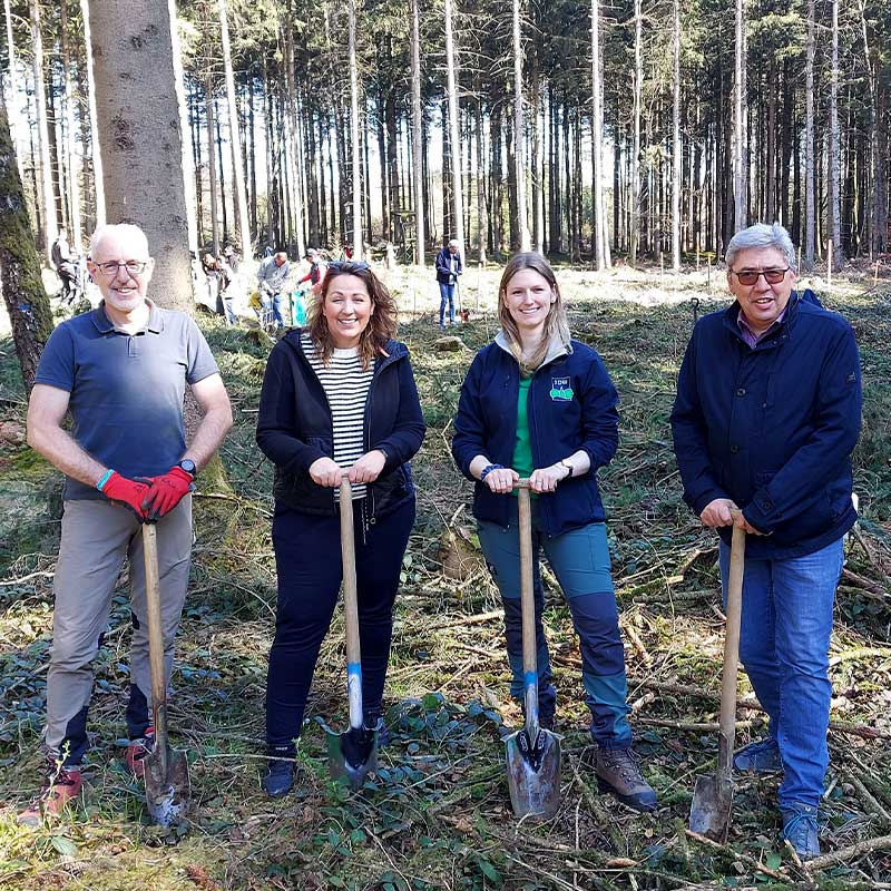 Peter Weggenmann (Direktor Privatkunden Volksbank Ulm-Biberach), Anita Bartolcic (Projektleiterin Gewinnsparverein Baden-Württemberg e.V.), Ann-Catrin Sachs (Landesgeschäftsführerin SDW BW) und Helmut Müller (Ortsvorsteher Stafflagen/Biberach) freuen sich über viele Engagierte und 500 gespendete Bäume im Stadtwald Biberach.